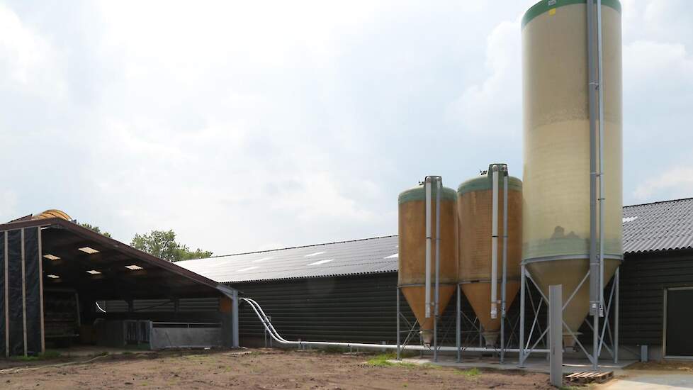 De silo’s staan in het midden naast de stal. De pluimveehouders kochten één nieuwe silo en plaatsten twee bestaande silo’s. Ze kozen voor reguliere silo’s en niet voor vlakbodemsilo’s. „Het klopt dat je met vlakbodemsilo’s minder ontmenging hebt. Dat hoor