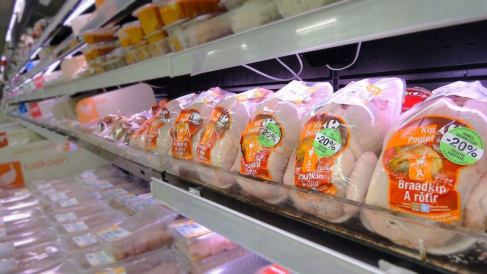 Colruyt Laagste Prijzen en OKay schakelen rond 2026 als eerste Belgische supermarkten over naar trager groeiende vleeskuikens die voldoen aan de hogere dierenwelzijnscriteria, gebaseerd op het Europese Better Chicken Commitment (BCC). Beeld ter illustrat