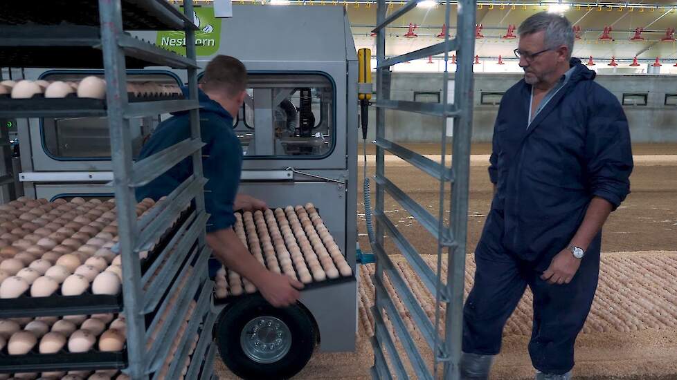 NestBorn | On-farm hatching - Turning animal welfare into profit