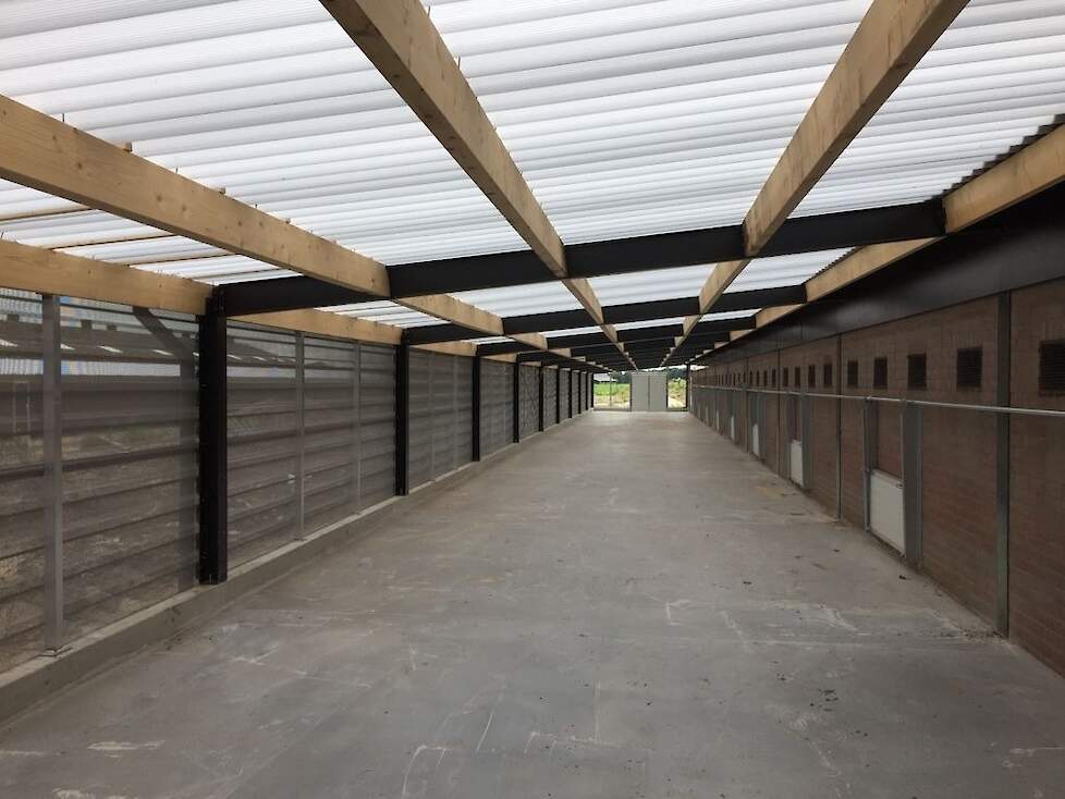 Speciale zogeheten Heat Guard lichtdoorlatende polycarbonaat platen zijn een goedkope oplossing als dak, geeft Cattier aan.