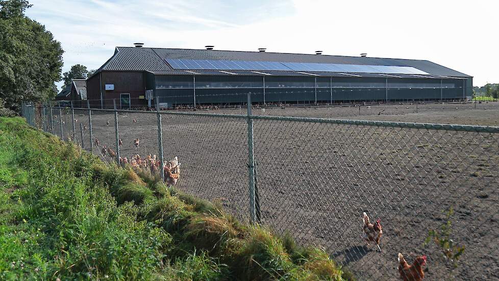 De familie Van den Berg runt een gemengd leghennen- en melkveebedrijf in het Noord-Brabantse Landhorst. Op de achtergrond hun etagestal.