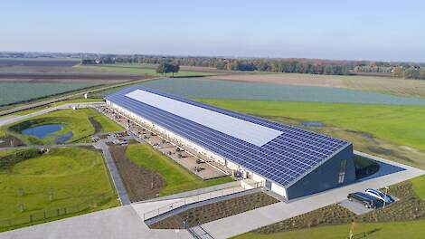 Kipster bouwt pluimveebedrijven in VS - Pluimveeweb