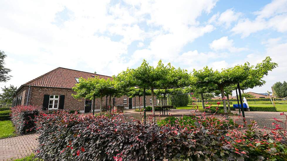 Zicht op het pluimveebedrijf vanuit de zorgboerderij. Het volgende project is de inrichting van de zichtstal boven de inpakruimte en een wandelroute. Jos en Gerry maken nog een wandelpad naar de nieuwe stal zodat de bezoekers kunnen genieten van de kippen