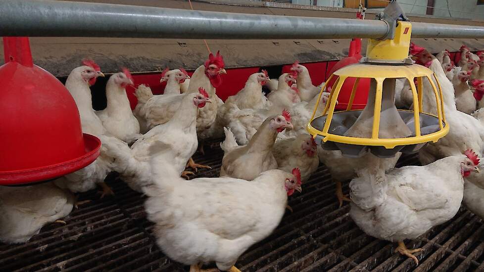 LTO/NOP-voorman Faber: ‘Drinkwatermotie is voor de bühne’