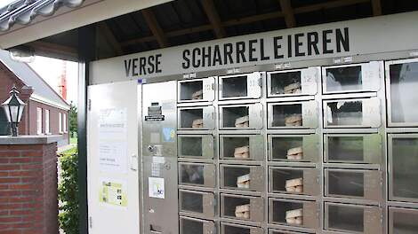 Leghennenhouders moeten eieren aan huis voor minstens 20 cent per stuk verkopen nu de eieren zo duur zijn in supermarkten, stelt een eierhandelaar. Beel ter illustratie.