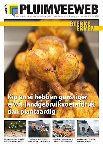 Cover Vakblad Pluimveeweb › Editie 2022-03