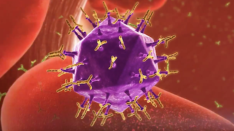 Immuuncomplex Gumboro vaccin