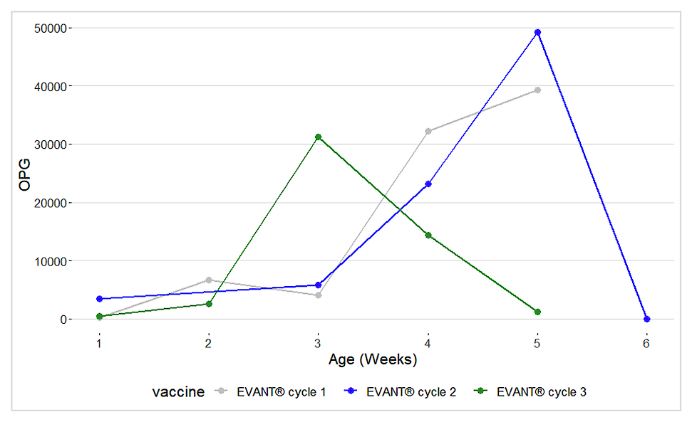 Grafiek 1: Coccidiose monitoring van bedrijf Doornbos met behulp van de oöcystentelling uitgevoerd                               door GVP Emmen, om een beeld te krijgen van het verloop van de infectie tijdens de vaccinatierondes.