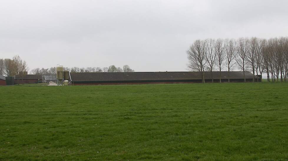 Ook pluimveehouders worden zwaar getroffen door de stikstofplannen.