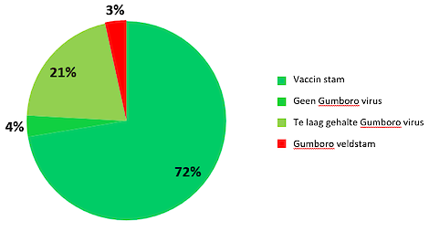 In 97% van de Transmune gevaccineerde vleeskuiken koppels werd geen Gumboro veldstam gevonden op slacht leeftijd