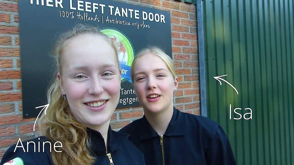 Tante Door vlog 2 | Nieuwe kuikens