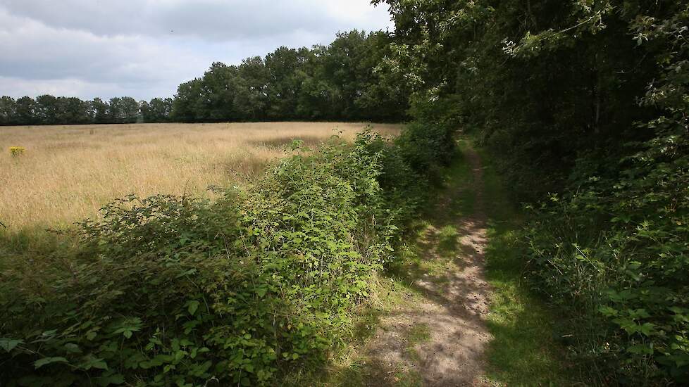 „Het gaat namelijk nogal ergens over; de herinrichting van Nederland. Willen we bijvoorbeeld meer dan 130.000 hectare nieuwe cultuur natuur, die op haar beurt in een nog groter gebied van Nederland allerlei activiteiten verder inperkt of zelfs onmogelijk