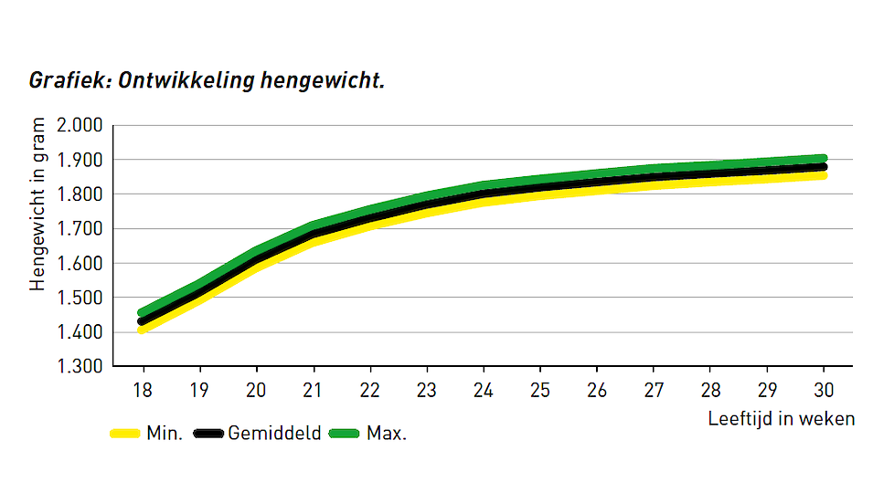 Grafiek ontwikkeling hengewicht