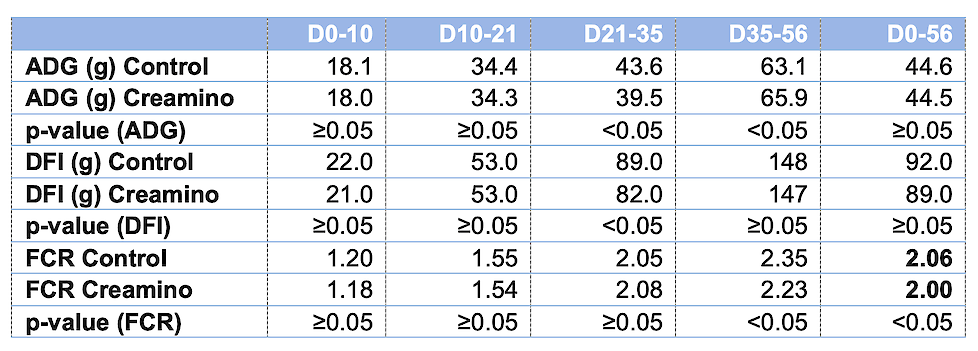 Tabel 2: Gemiddelde dagelijkse gewichtstoename (ADG), dagelijkse voeropname (DFI) en voederconversie (FCR) in de vier voerperiodes en overall.