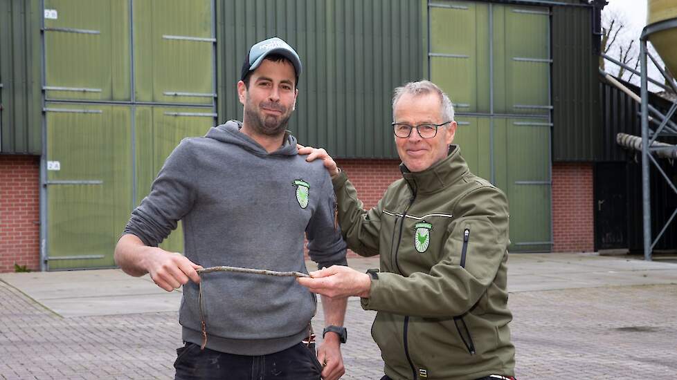 Tim van Gestel (33) houdt samen met zijn ouders Jan (62) en Thea (63) 55.000 leghennen op hun pluimveebedrijf in Diessen (NB).