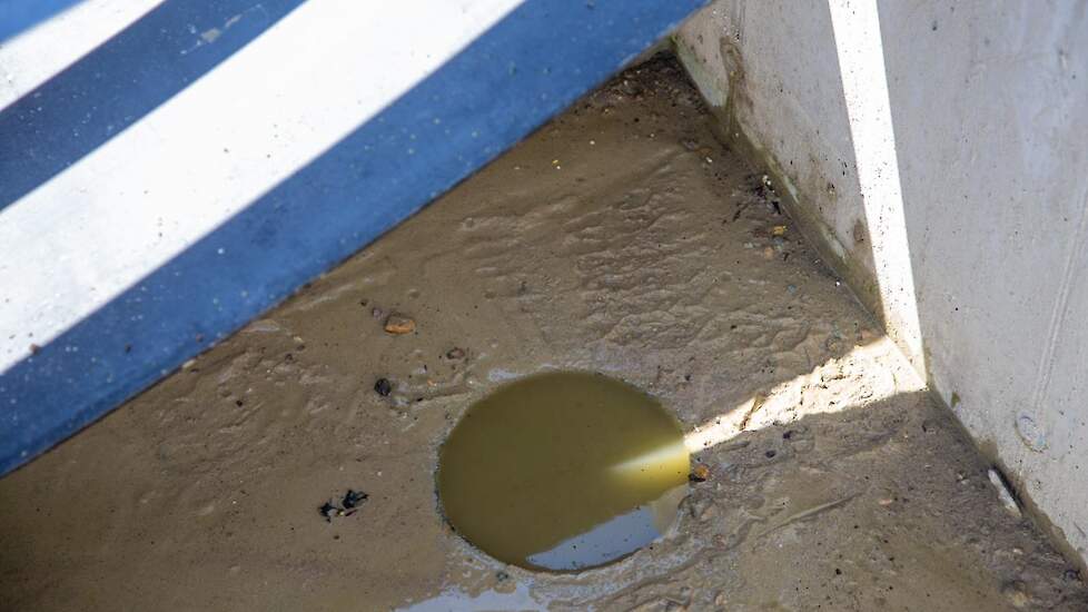 In die put heeft de familie een zuiggat gemaakt, zodat ze al het water er iedere ronde tijdens het schoonspuiten uit kunnen zuigen met een dompelpomp of gierton.