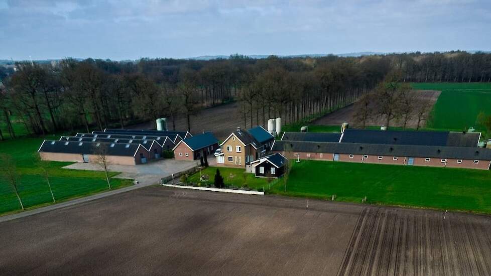 Een overzichtsfoto van hun bedrijf met links de kalverstallen die plaats bieden aan in totaal 500 vleeskalveren en rechts twee vleesvarkensstallen voor 750 vleesvarkens. Achter de vleesvarkensstallen staat de nieuwe opfokstal. Op hun thuislocatie, een paa