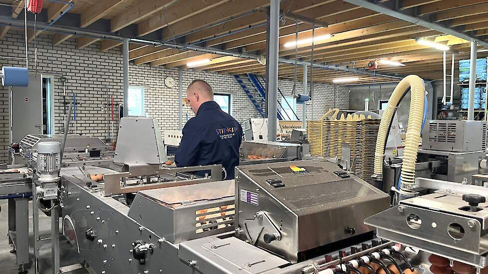 Broedmachine 30H met automatische ei-draaisysteem, temperatuurregeling