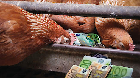 Financiering blijft maatwerk