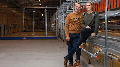 Michiel Patyn en zijn vriendin Laura Claeys bouwden een nieuwe leghennenstal. Door de oorlog in Oekraïne zat de biologische eiermarkt in een dal en duurde het maanden voordat de financiering rond was.