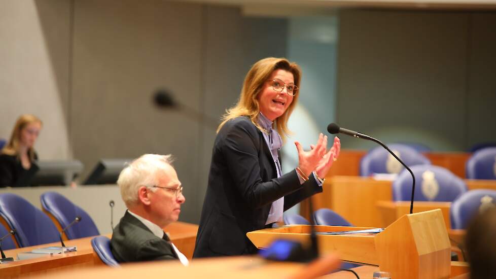 Minister Christianne van der Wal.
