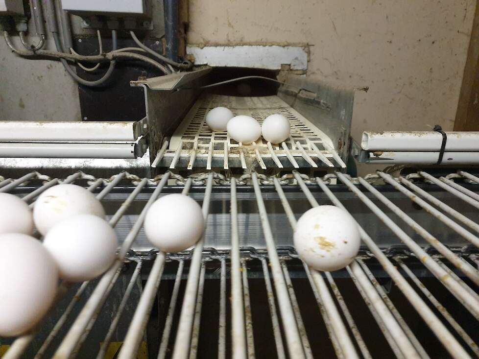 In dit praktijkvoorbeeld is duidelijk te zien dat er een te groot hoogteverschil is tussen de eiereband en de verzamelband.