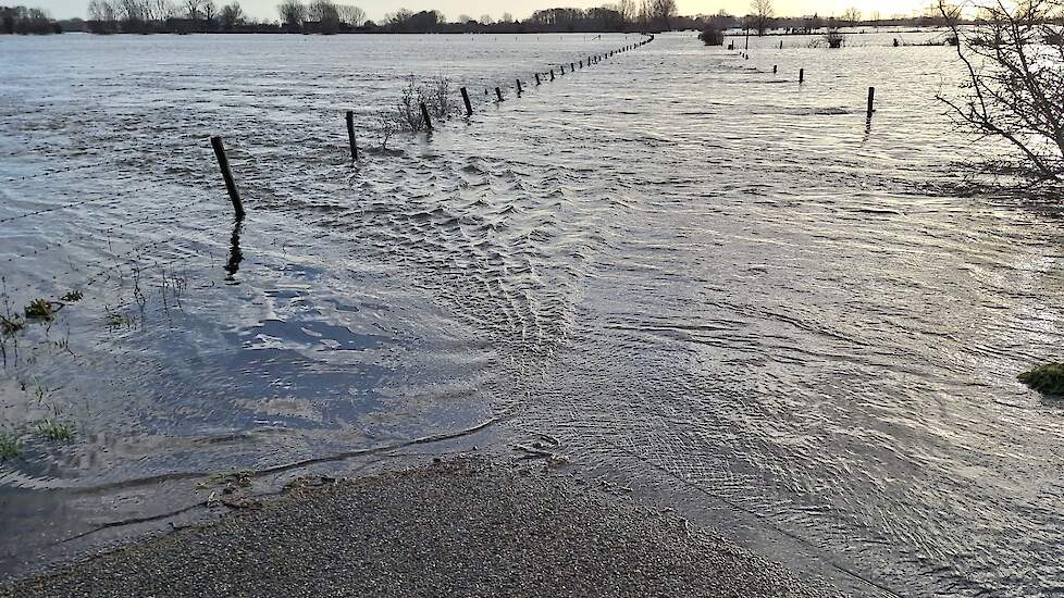 Snelstromend water in de uiterwaarden van de IJssel