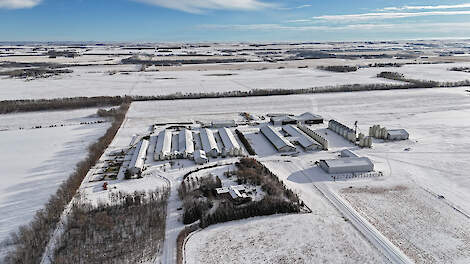 Het bedrijf van familie Van der Rijt in Bowden, Alberta: links een loods, vier legstallen met centrale eierverzameling, twee opfokstallen en rechts de voerfabriek.