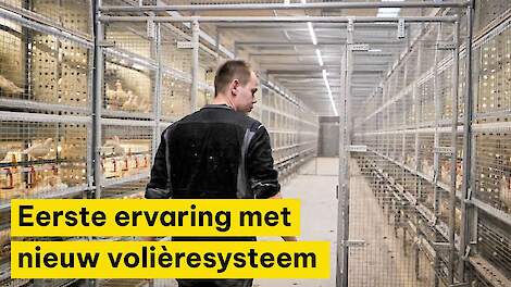 Eerste ervaring met nieuw volière systeem