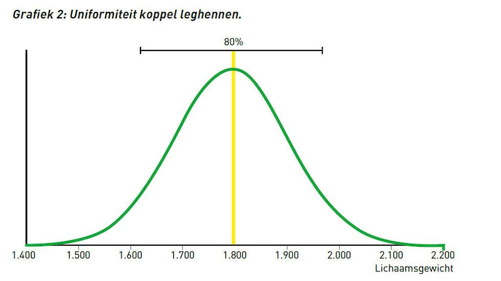 Uniformiteit koppel leghennen