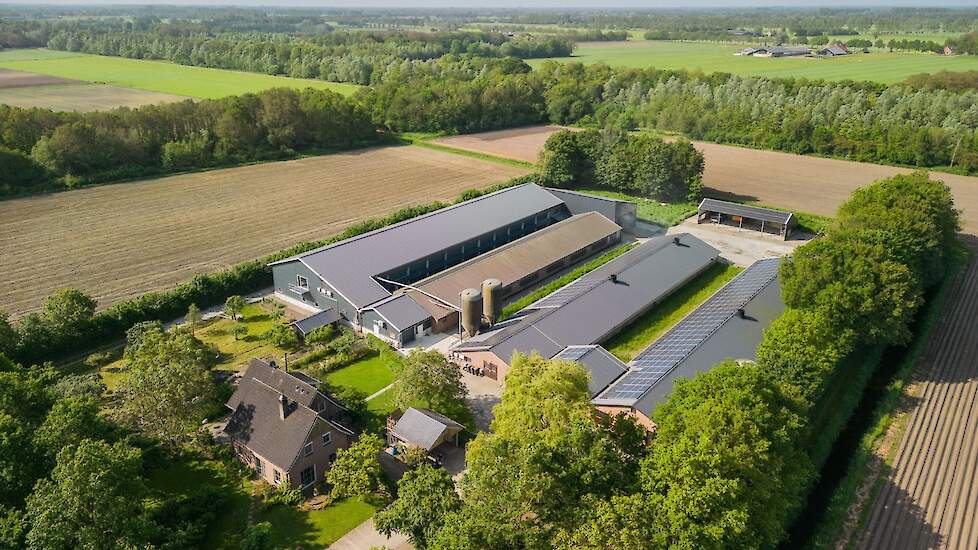 Dit pluimveebedrijf met een capaciteit van 44.000 legouderdieren of leghennen in het Achterhoekse Beltrum (GD) staat te koop.