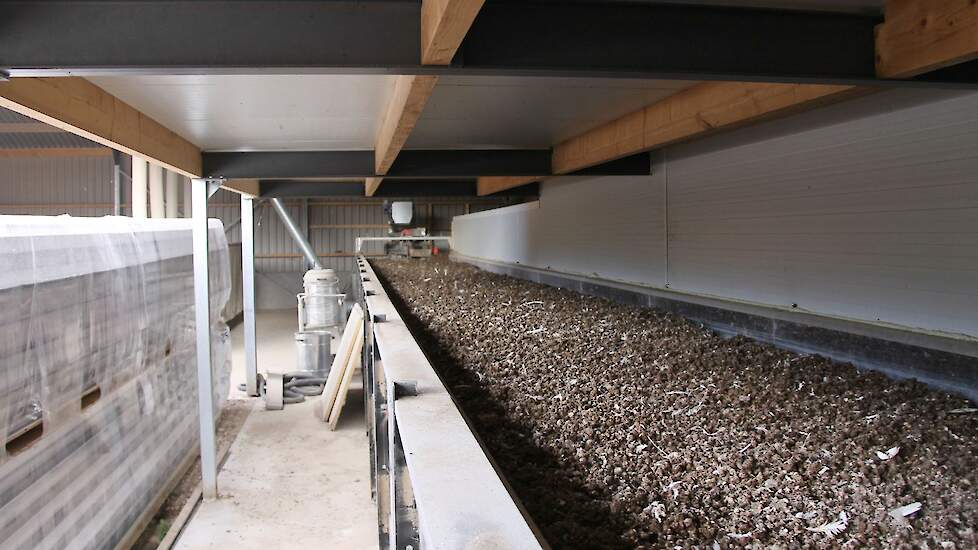 Een perspectiefvolle optie om de ammoniak- en fijnstofuitstoot te reduceren voor leghennenhouders is investeren in een droogtunnel. Zo’n droogtunnel verlaagt de fijnstofemissies, kost geld, maar zorgt ook voor droge mest, waardoor de kosten van de mestafz