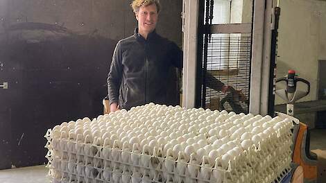 Leghennenhouder Sengenhorst gebruikt AI-ondersteunde cameratechnologie bij het sorteren van eieren