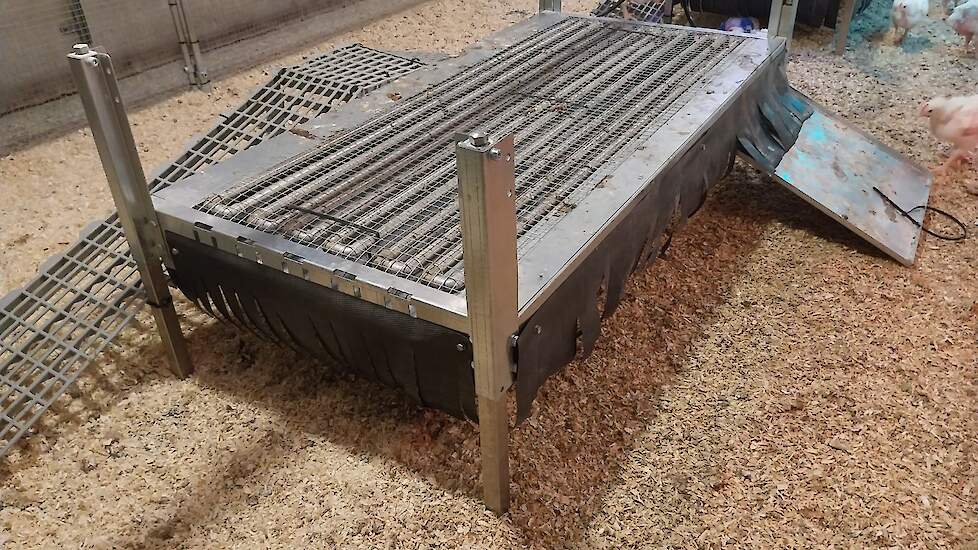 Prototype van een multifunctioneel platform (of springtafel) voor vleeskuikens met een donkere en afgeschermde zone, watergekoelde buizen, mestopvang en -afvoer.