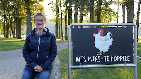 Voorzitters provinciale BBB-fracties reageren op aangenomen mestwet: 'Rechtmatig is niet altijd rechtvaardig'
