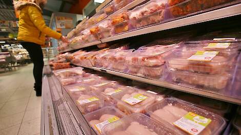 RaboResearch: ‘Wereldwijde pluimveesector kent ook in 2025 sterke groei’