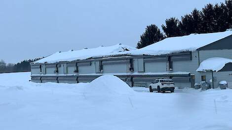 Fotoserie: Extreem veel ingestorte staldaken door sneeuwval