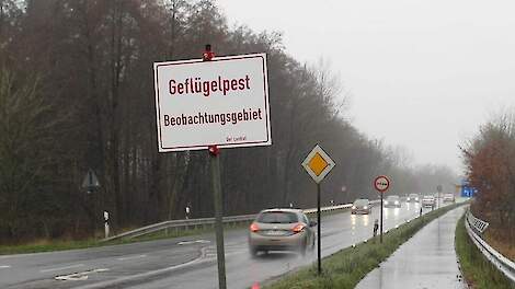 Leghennenbedrijf in Duitse Emsland getroffen door vogelgriep