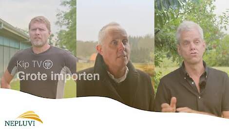 Video: 'Grotere importstromen van kip vanuit derde landen zorgelijk'