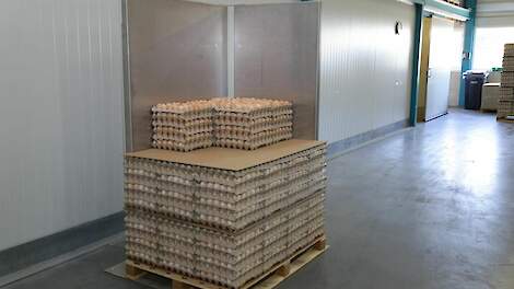 Vogelgriepuitbraken in Europa veroorzaken broedeitekort in Rusland