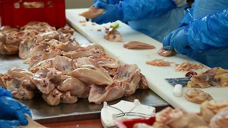 Ophef rond overname door Oekraïense MHP in Spaanse pluimveesector