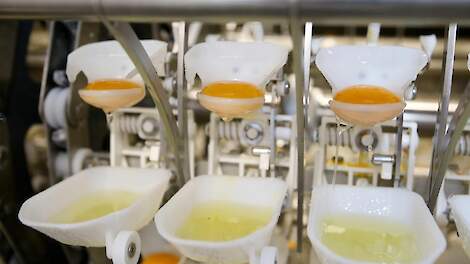LPX neemt voormalige zuivelfabriek over voor productie innovatieve ei-ingrediënten