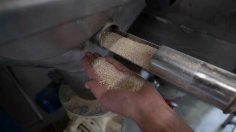 Eierschaal als diervoeding: nog steeds een risico op salmonella of slimme investering?
