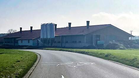 Biologische-vleeskuikenstal in Bruck