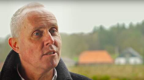 Video: 'Sector doet er alles aan om hittestress bij pluimvee te voorkomen'