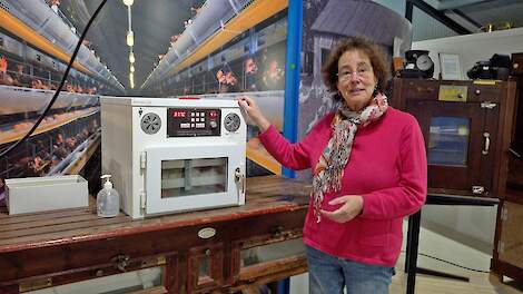 Video: Pluimveemuseum ontvangt jaarlijks zo’n 28.000 bezoekers