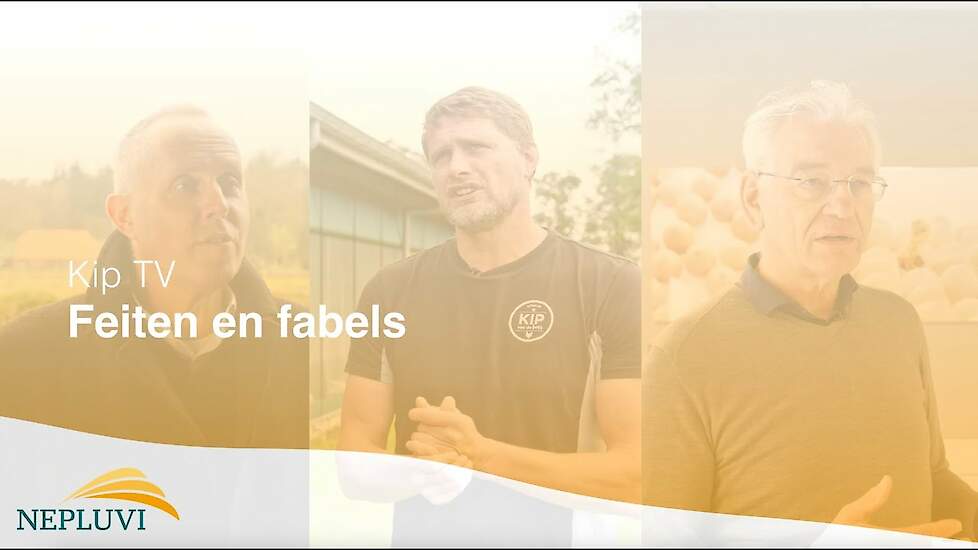 Misvattingen over de pluimveesector: feiten vs. fabels