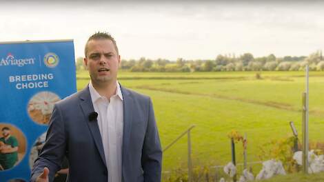 Video: 'Fokkerij focust zich niet op snelle groei'
