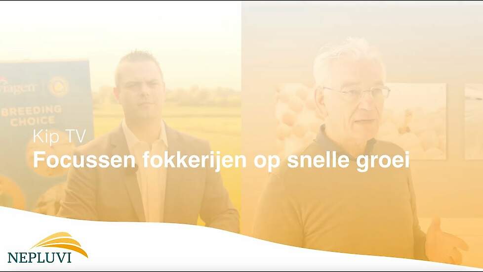 KipTV - Focussen fokkerijen op snelle groei