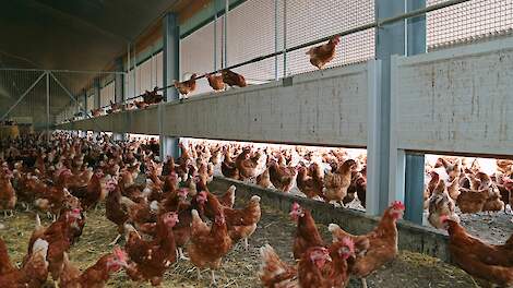 'Lagere bezetting gaat sector hard raken'